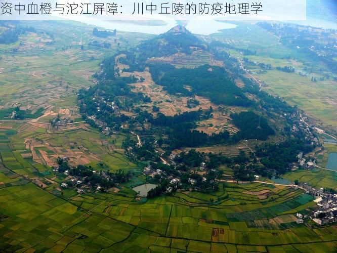 资中血橙与沱江屏障：川中丘陵的防疫地理学