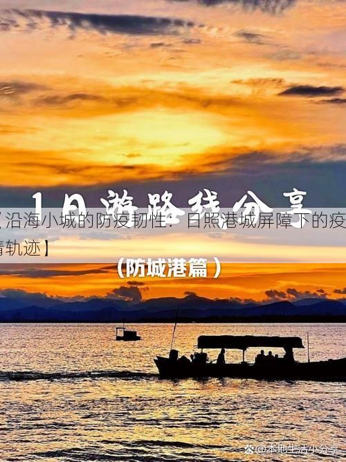 【沿海小城的防疫韧性：日照港城屏障下的疫情轨迹】