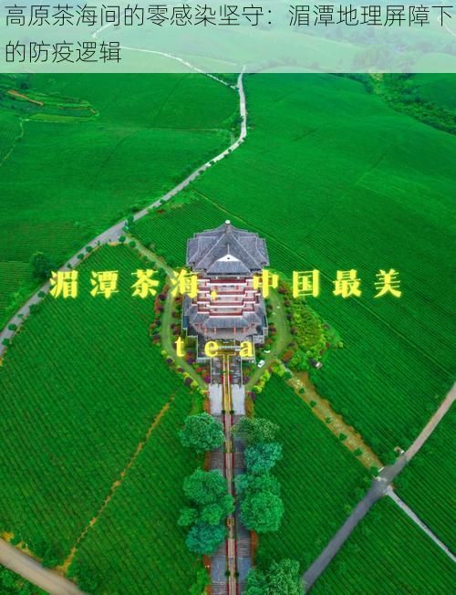 高原茶海间的零感染坚守：湄潭地理屏障下的防疫逻辑