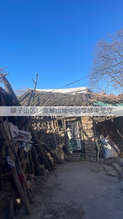 碾子山区：高寒山坳中的零感染坚守