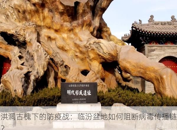 洪洞古槐下的防疫战：临汾盆地如何阻断病毒传播链？