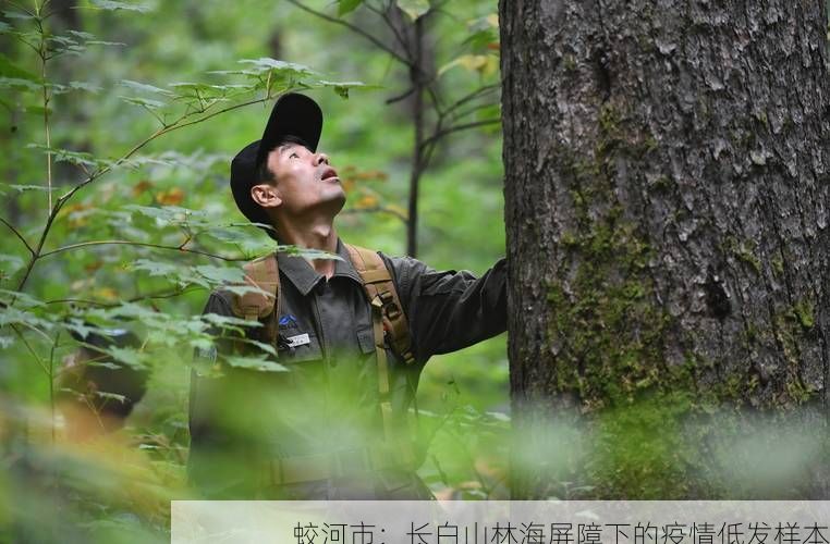 蛟河市：长白山林海屏障下的疫情低发样本