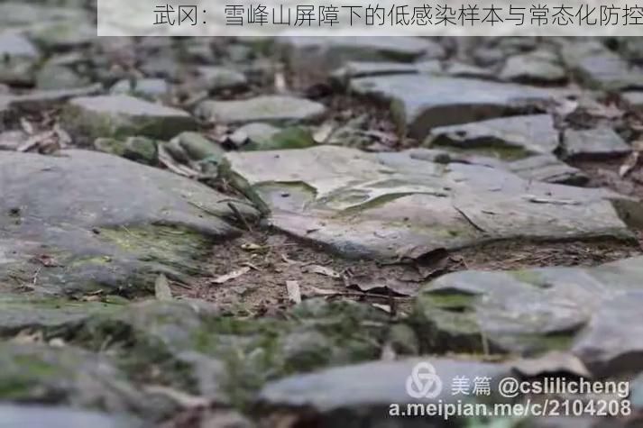 武冈：雪峰山屏障下的低感染样本与常态化防控