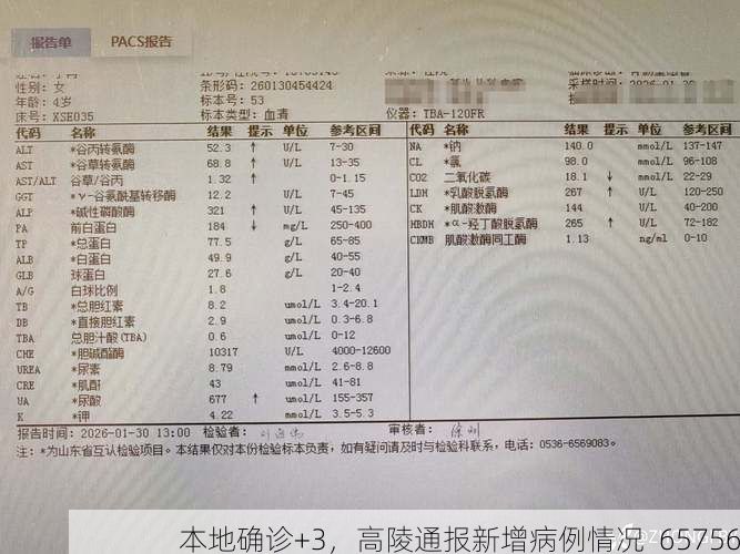 本地确诊+3，高陵通报新增病例情况_65756
