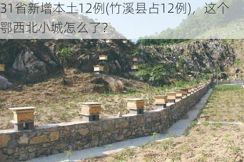 31省新增本土12例(竹溪县占12例)，这个鄂西北小城怎么了？