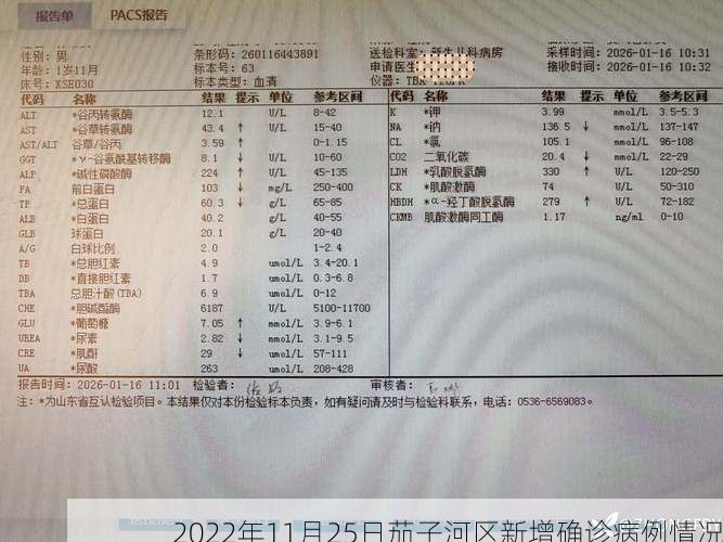 2022年11月25日茄子河区新增确诊病例情况