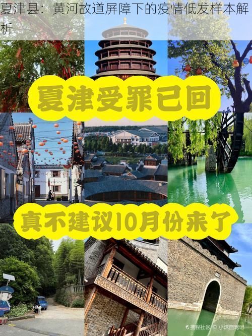 夏津县：黄河故道屏障下的疫情低发样本解析