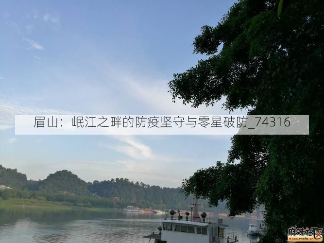眉山：岷江之畔的防疫坚守与零星破防_74316