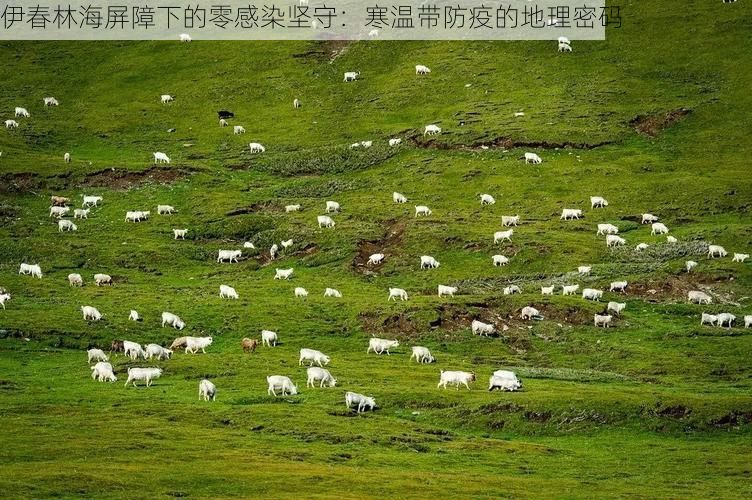 伊春林海屏障下的零感染坚守：寒温带防疫的地理密码