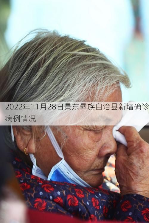 2022年11月28日景东彝族自治县新增确诊病例情况