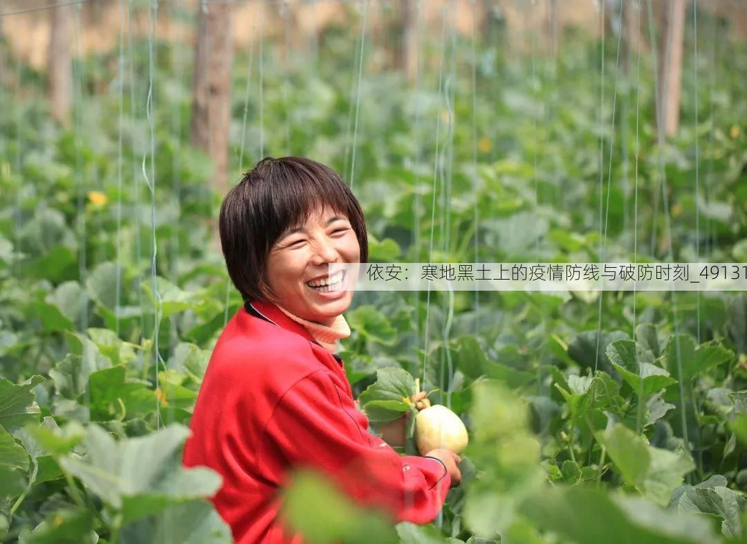 依安：寒地黑土上的疫情防线与破防时刻_49131
