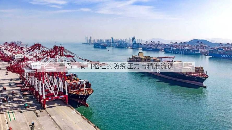 青岛：港口枢纽的防疫压力与精准流调