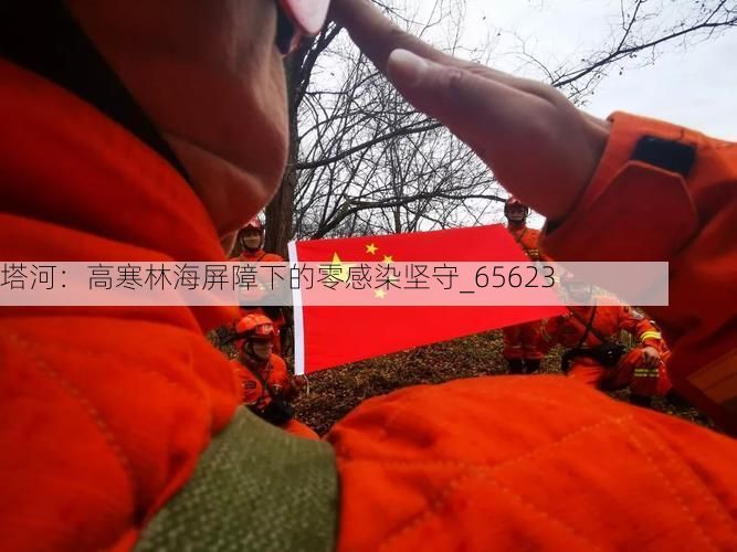 塔河：高寒林海屏障下的零感染坚守_65623