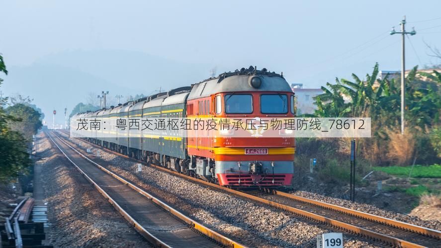 茂南：粤西交通枢纽的疫情承压与物理防线_78612