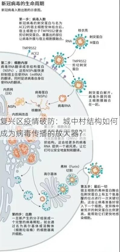 复兴区疫情破防：城中村结构如何成为病毒传播的放大器？