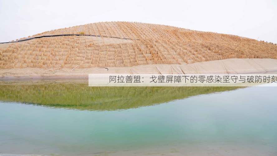 阿拉善盟：戈壁屏障下的零感染坚守与破防时刻