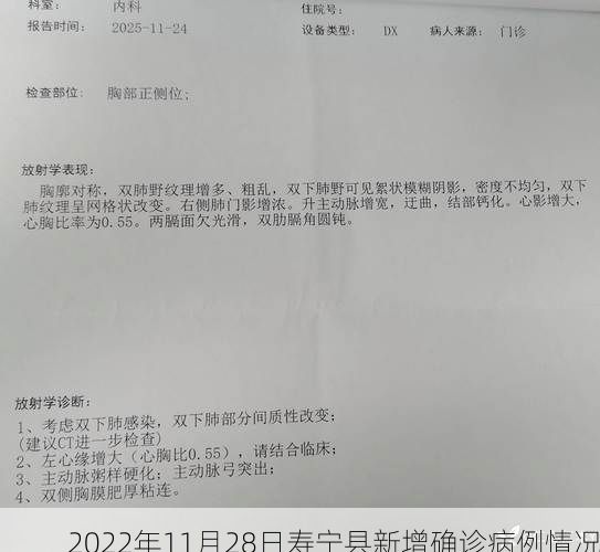 2022年11月28日寿宁县新增确诊病例情况