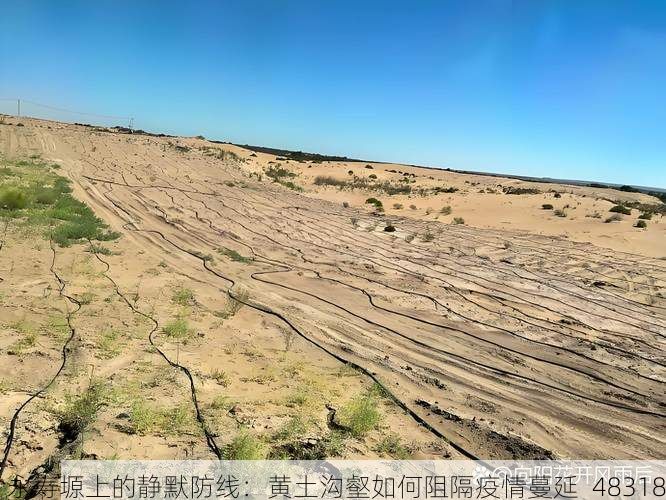 永寿塬上的静默防线：黄土沟壑如何阻隔疫情蔓延_48318
