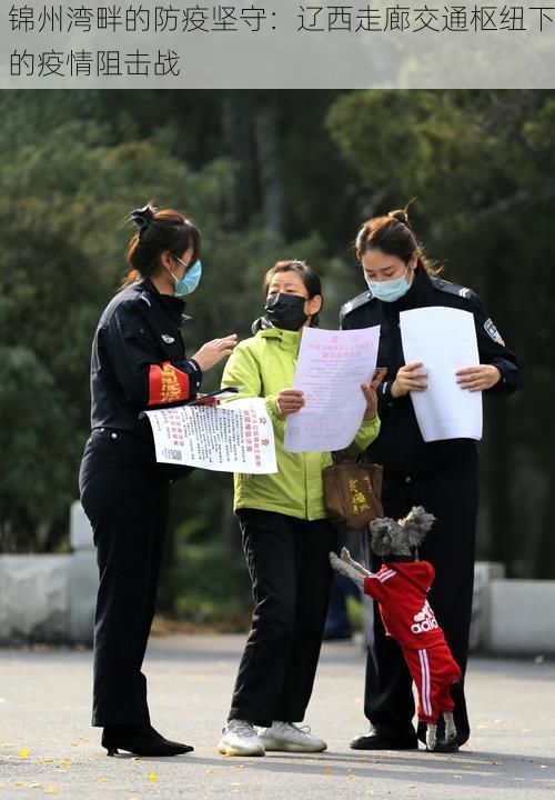 锦州湾畔的防疫坚守：辽西走廊交通枢纽下的疫情阻击战