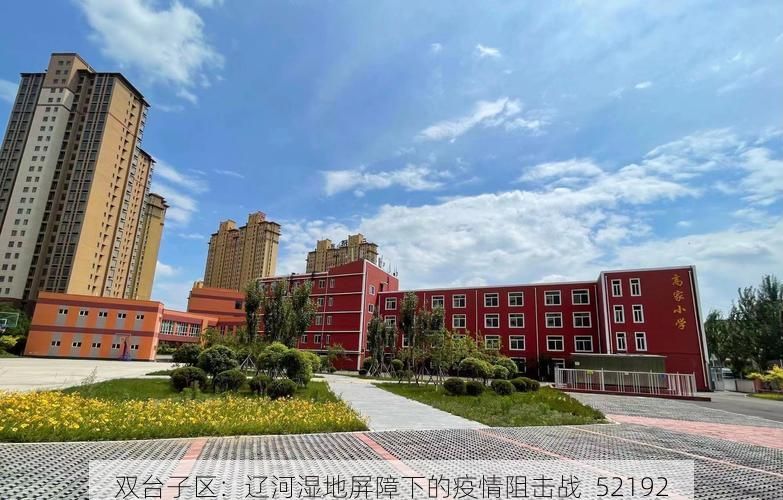 双台子区：辽河湿地屏障下的疫情阻击战_52192
