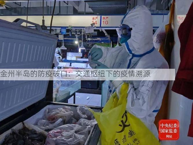 金州半岛的防疫破口：交通枢纽下的疫情溯源