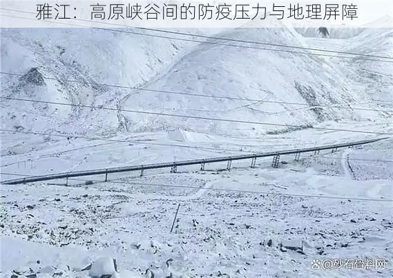 雅江：高原峡谷间的防疫压力与地理屏障