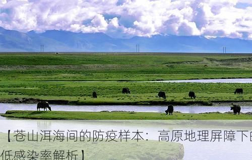 【苍山洱海间的防疫样本：高原地理屏障下的低感染率解析】