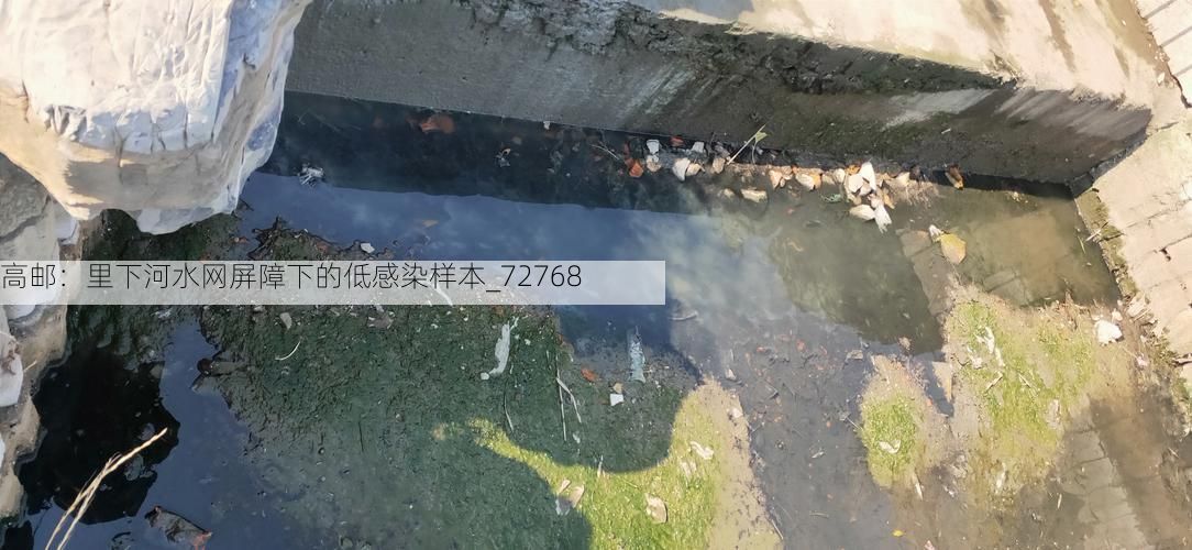 高邮：里下河水网屏障下的低感染样本_72768
