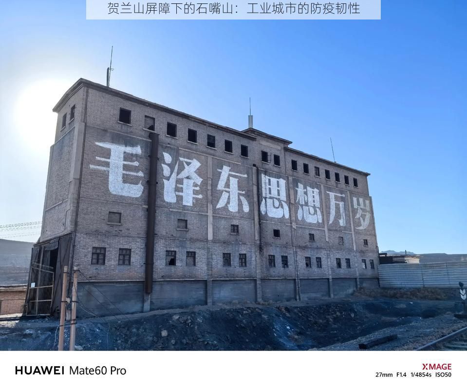 贺兰山屏障下的石嘴山：工业城市的防疫韧性
