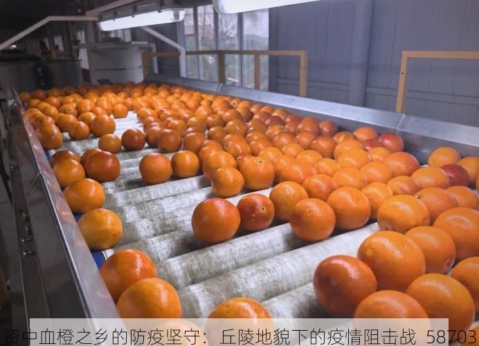 资中血橙之乡的防疫坚守：丘陵地貌下的疫情阻击战_58703