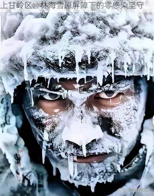 上甘岭区：林海雪原屏障下的零感染坚守