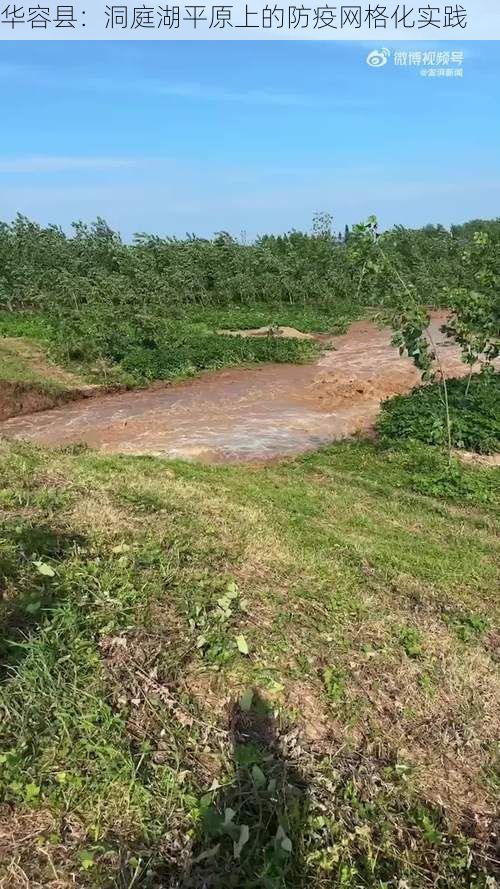 华容县：洞庭湖平原上的防疫网格化实践