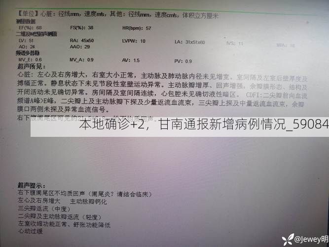 本地确诊+2，甘南通报新增病例情况_59084