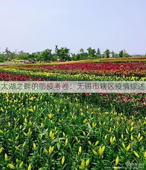 太湖之畔的防疫考卷：无锡市辖区疫情综述