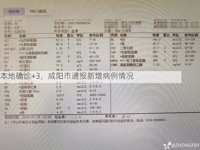 本地确诊+3，咸阳市通报新增病例情况