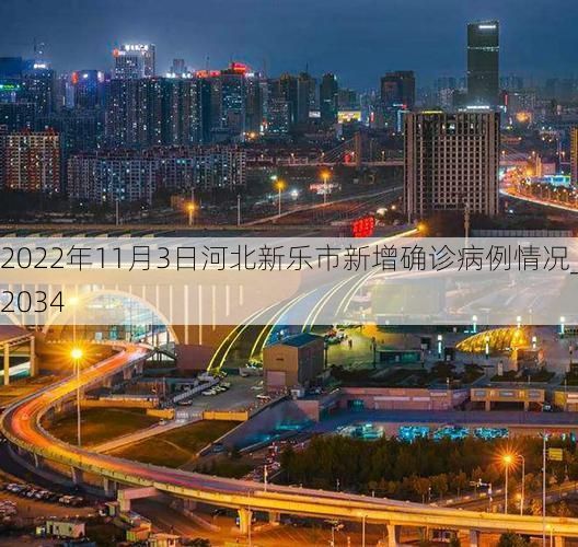 2022年11月3日河北新乐市新增确诊病例情况_12034