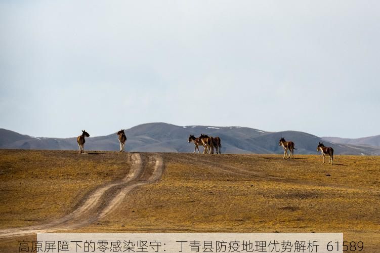 高原屏障下的零感染坚守：丁青县防疫地理优势解析_61589