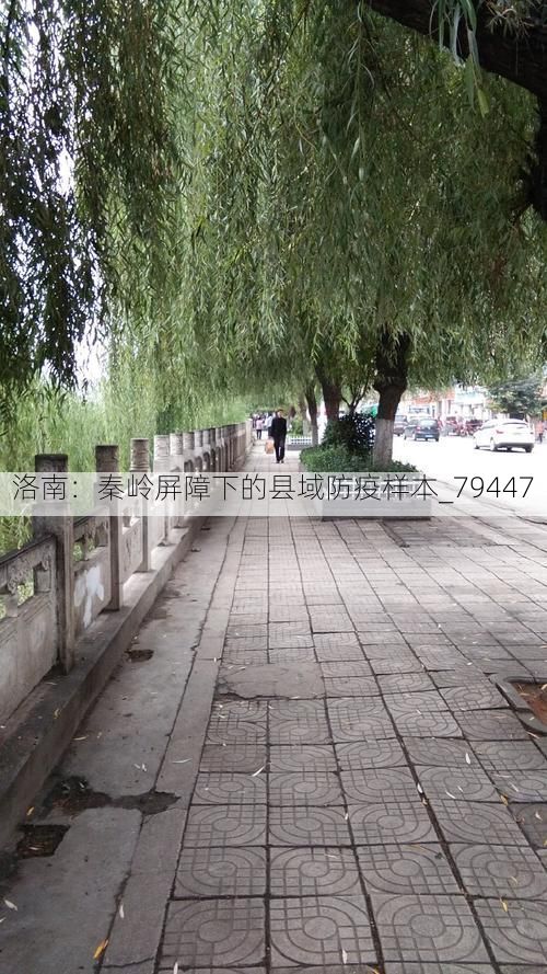 洛南：秦岭屏障下的县域防疫样本_79447
