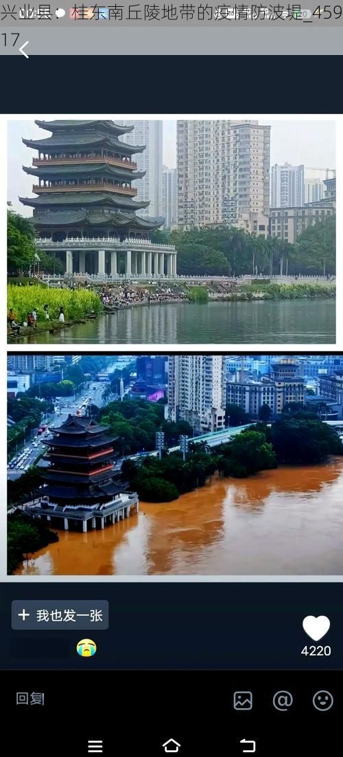 兴业县:桂东南丘陵地带的疫情防波堤_45917