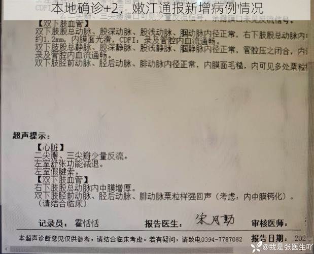 本地确诊+2,嫩江通报新增病例情况