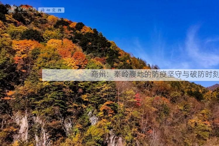 商州:秦岭腹地的防疫坚守与破防时刻