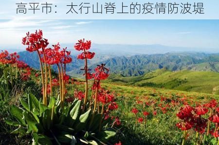 高平市：太行山脊上的疫情防波堤