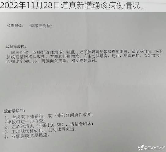 2022年11月28日道真新增确诊病例情况