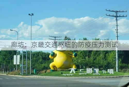 廊坊：京畿交通枢纽的防疫压力测试