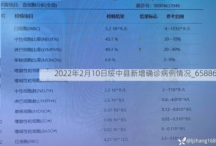 2022年2月10日绥中县新增确诊病例情况_65886