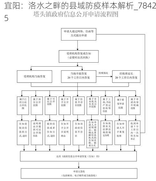宜阳：洛水之畔的县域防疫样本解析_78425