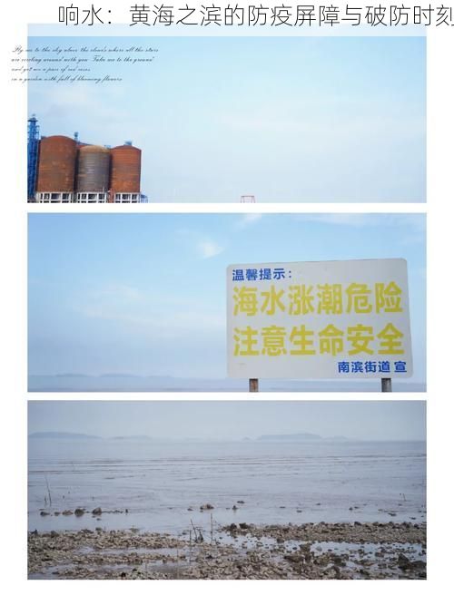 响水：黄海之滨的防疫屏障与破防时刻
