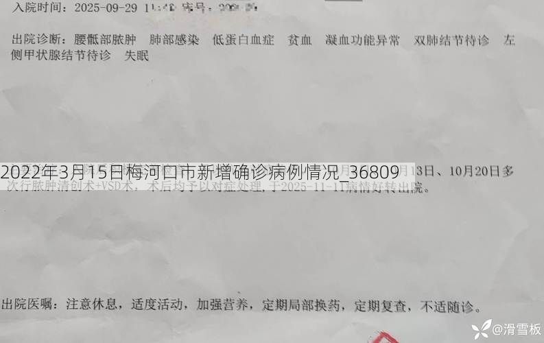 2022年3月15日梅河口市新增确诊病例情况_36809
