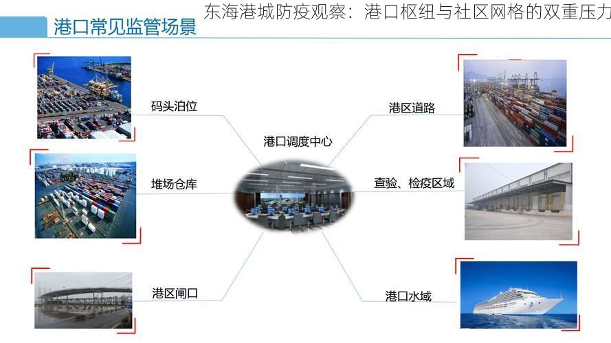 东海港城防疫观察：港口枢纽与社区网格的双重压力