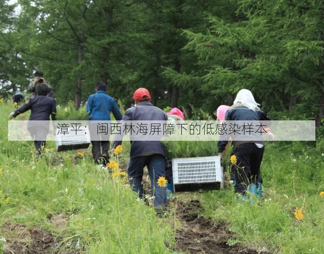 漳平:闽西林海屏障下的低感染样本